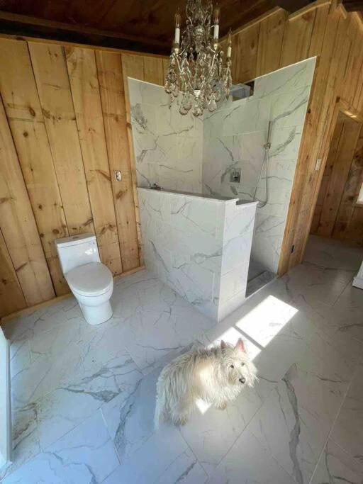 The Kaaterskill Villa Catskill Esterno foto